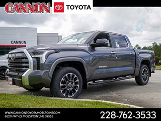 2024 Toyota Tundra for sale in Moss Point MS