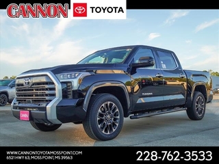 2024 Toyota Tundra