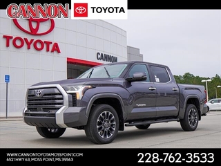 2024 Toyota Tundra for sale in Moss Point MS