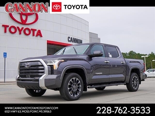 2024 Toyota Tundra