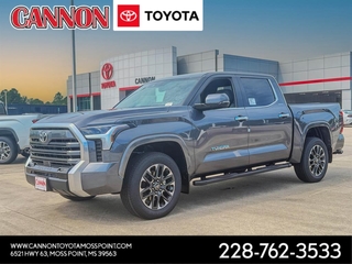 2025 Toyota Tundra for sale in Moss Point MS