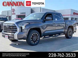 2026 Toyota Tundra for sale in Moss Point MS