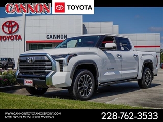 2024 Toyota Tundra for sale in Moss Point MS