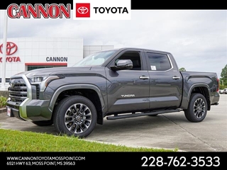 2024 Toyota Tundra for sale in Moss Point MS