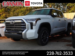 2024 Toyota Tundra