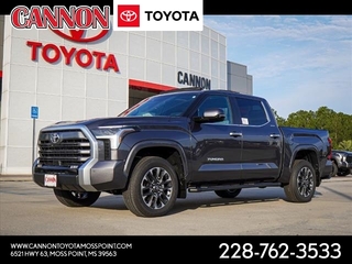 2025 Toyota Tundra for sale in Moss Point MS