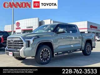 2026 Toyota Tundra for sale in Moss Point MS