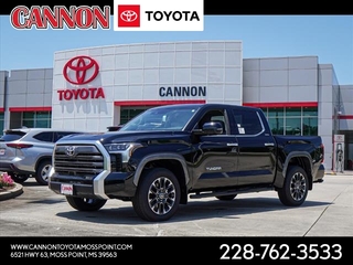 2024 Toyota Tundra for sale in Moss Point MS