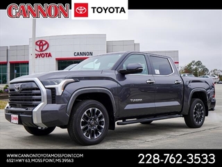 2025 Toyota Tundra for sale in Moss Point MS