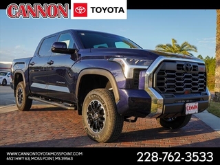 2024 Toyota Tundra