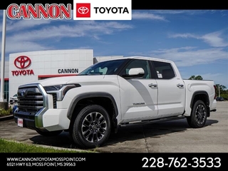 2024 Toyota Tundra for sale in Moss Point MS