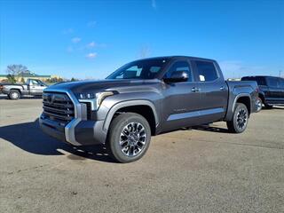 2025 Toyota Tundra for sale in Dundee MI