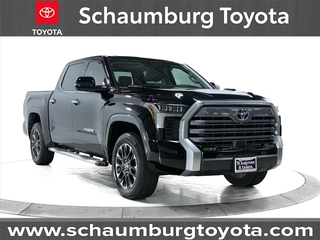 2023 Toyota Tundra for sale in Schaumburg IL