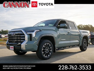 2024 Toyota Tundra