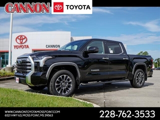 2024 Toyota Tundra for sale in Moss Point MS