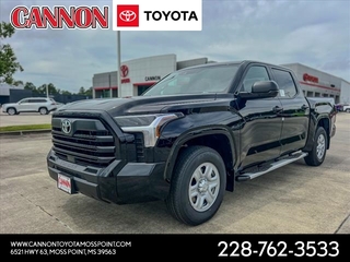 2025 Toyota Tundra