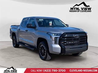 2024 Toyota Tundra for sale in Mcdonald TN
