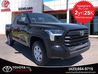 2025 Toyota Tundra for sale in Mcdonald TN