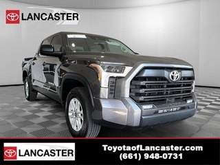 2023 Toyota Tundra