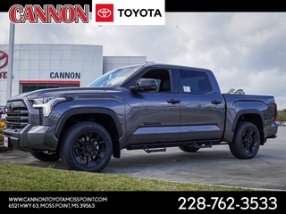 2025 Toyota Tundra for sale in Moss Point MS