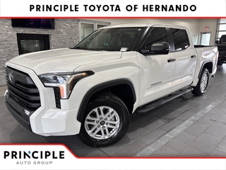 2024 Toyota Tundra for sale in Hernando MS