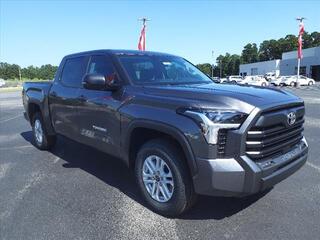 2024 Toyota Tundra for sale in New Bern NC