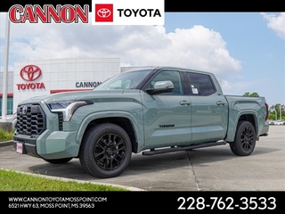 2023 Toyota Tundra for sale in Moss Point MS