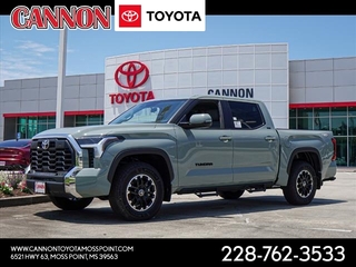 2024 Toyota Tundra for sale in Moss Point MS