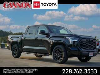 2023 Toyota Tundra for sale in Moss Point MS