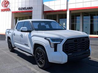 2023 Toyota Tundra for sale in Mcdonald TN