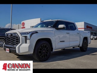 2022 Toyota Tundra for sale in Moss Point MS