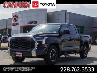 2024 Toyota Tundra for sale in Moss Point MS