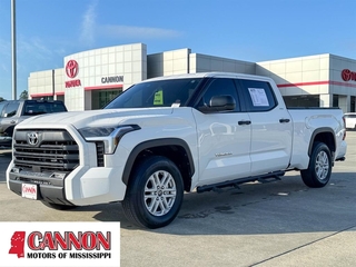 2024 Toyota Tundra for sale in Moss Point MS