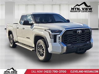 2023 Toyota Tundra for sale in Mcdonald TN