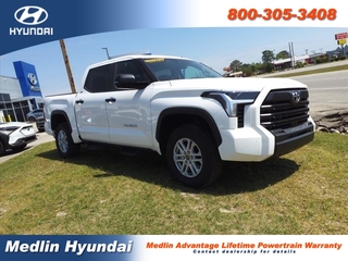 2024 Toyota Tundra for sale in Rocky Mount NC