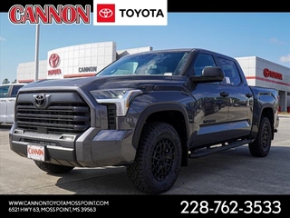 2025 Toyota Tundra for sale in Moss Point MS