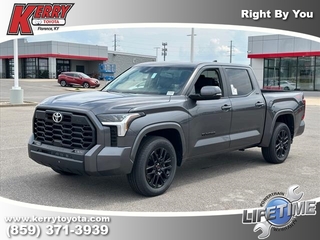 2024 Toyota Tundra for sale in Florence KY