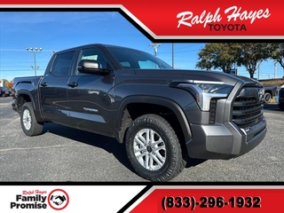 2025 Toyota Tundra for sale in Anderson SC