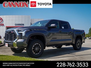 2024 Toyota Tundra for sale in Moss Point MS