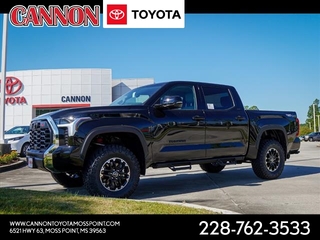 2024 Toyota Tundra for sale in Moss Point MS