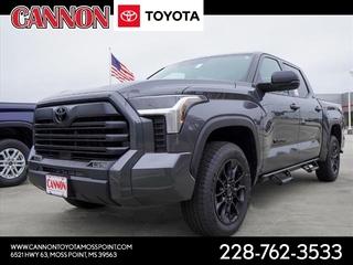 2024 Toyota Tundra for sale in Moss Point MS