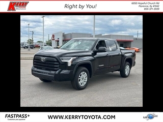 2024 Toyota Tundra for sale in Florence KY