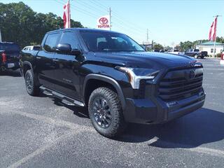 2024 Toyota Tundra for sale in New Bern NC