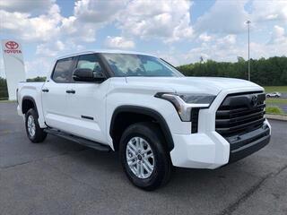 2024 Toyota Tundra for sale in Mcdonald TN