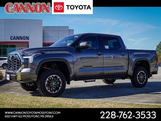 2025 Toyota Tundra for sale in Moss Point MS