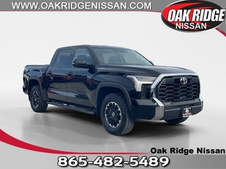 2023 Toyota Tundra for sale in Oak Ridge TN