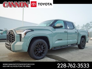 2024 Toyota Tundra for sale in Moss Point MS