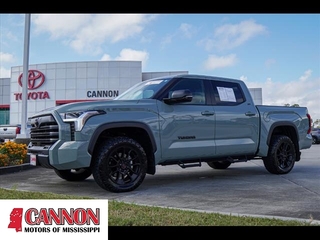 2024 Toyota Tundra for sale in Moss Point MS