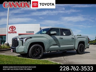 2024 Toyota Tundra for sale in Moss Point MS