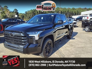 2025 Toyota Tundra for sale in Muskegon MI